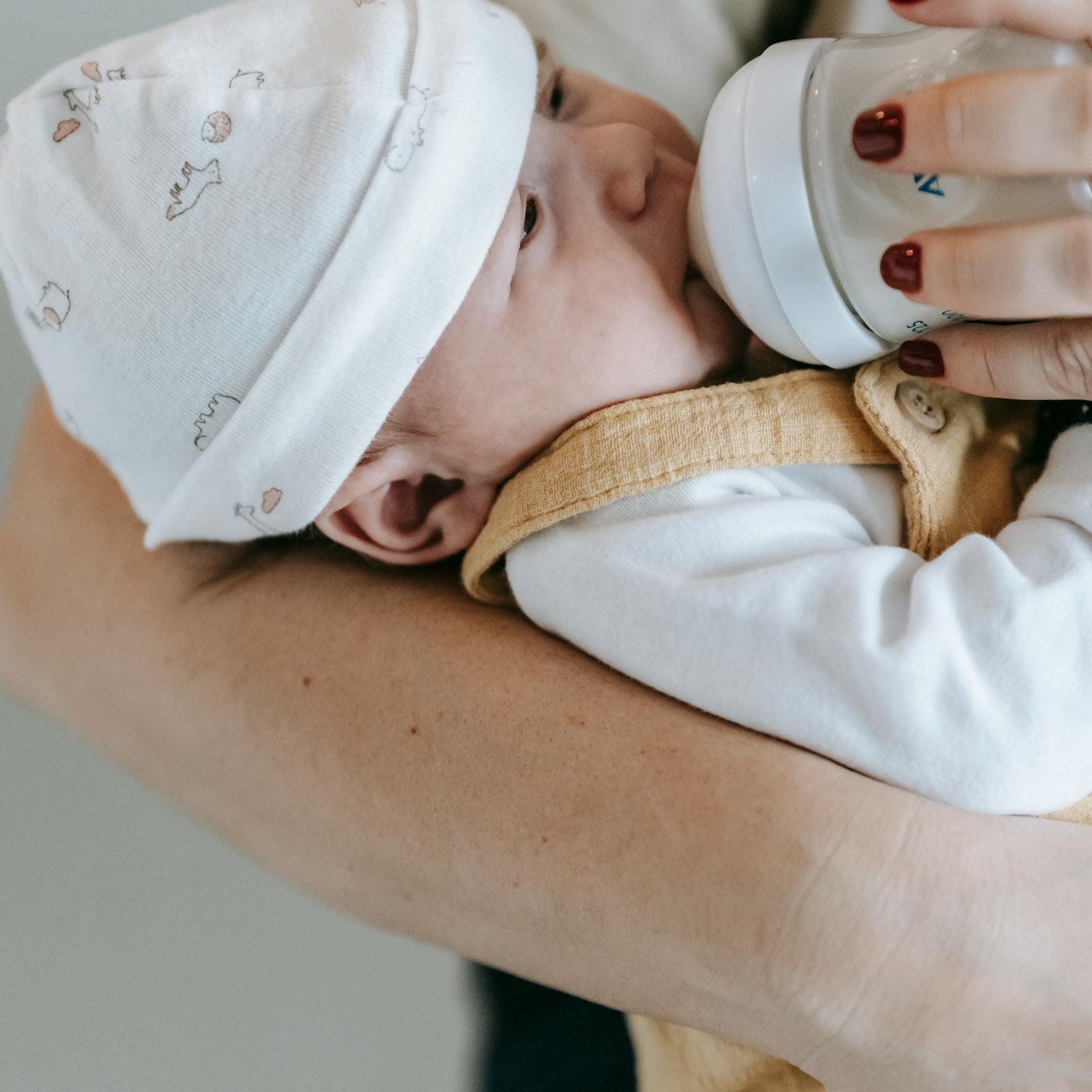 Premium Bottle Warmer Pro